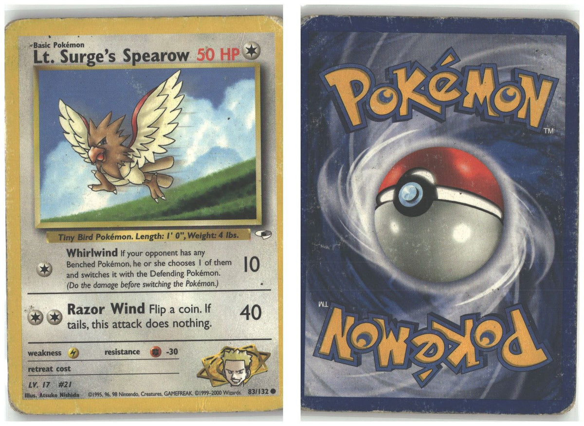 Front + Back scan
