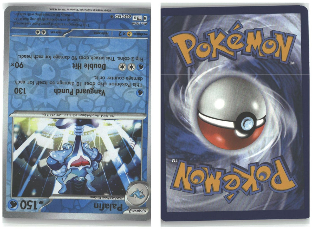 Front + Back scan