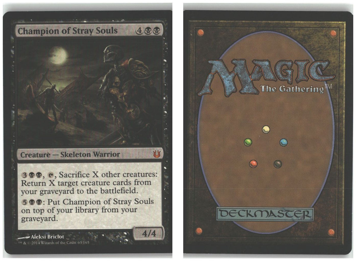 Front + Back scan
