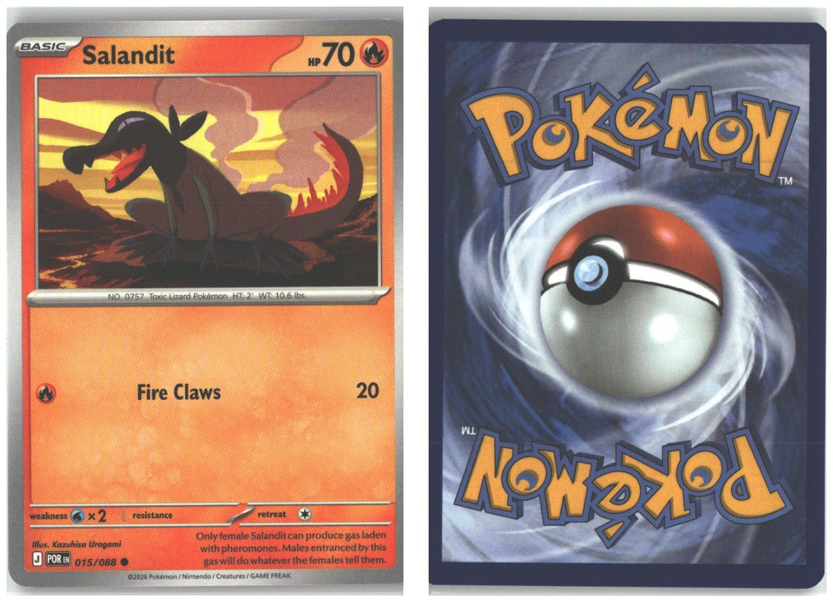 Front + Back scan