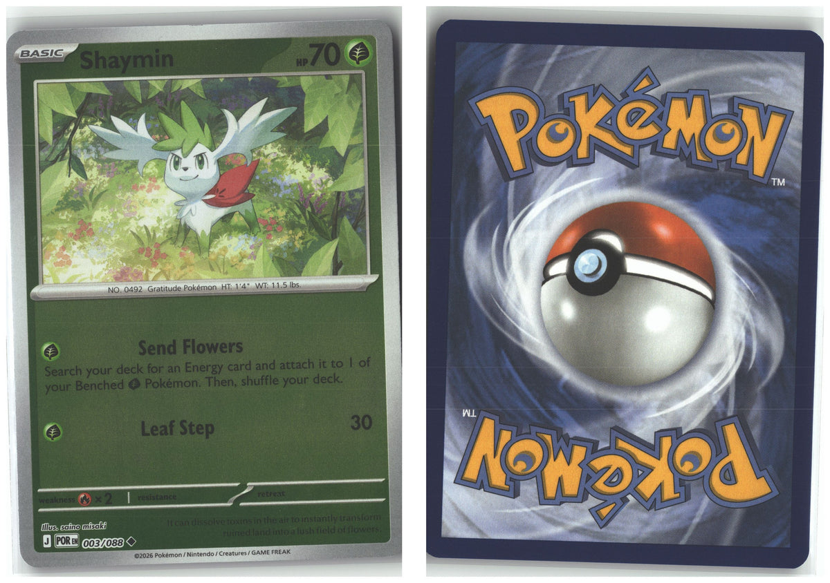 Front + Back scan