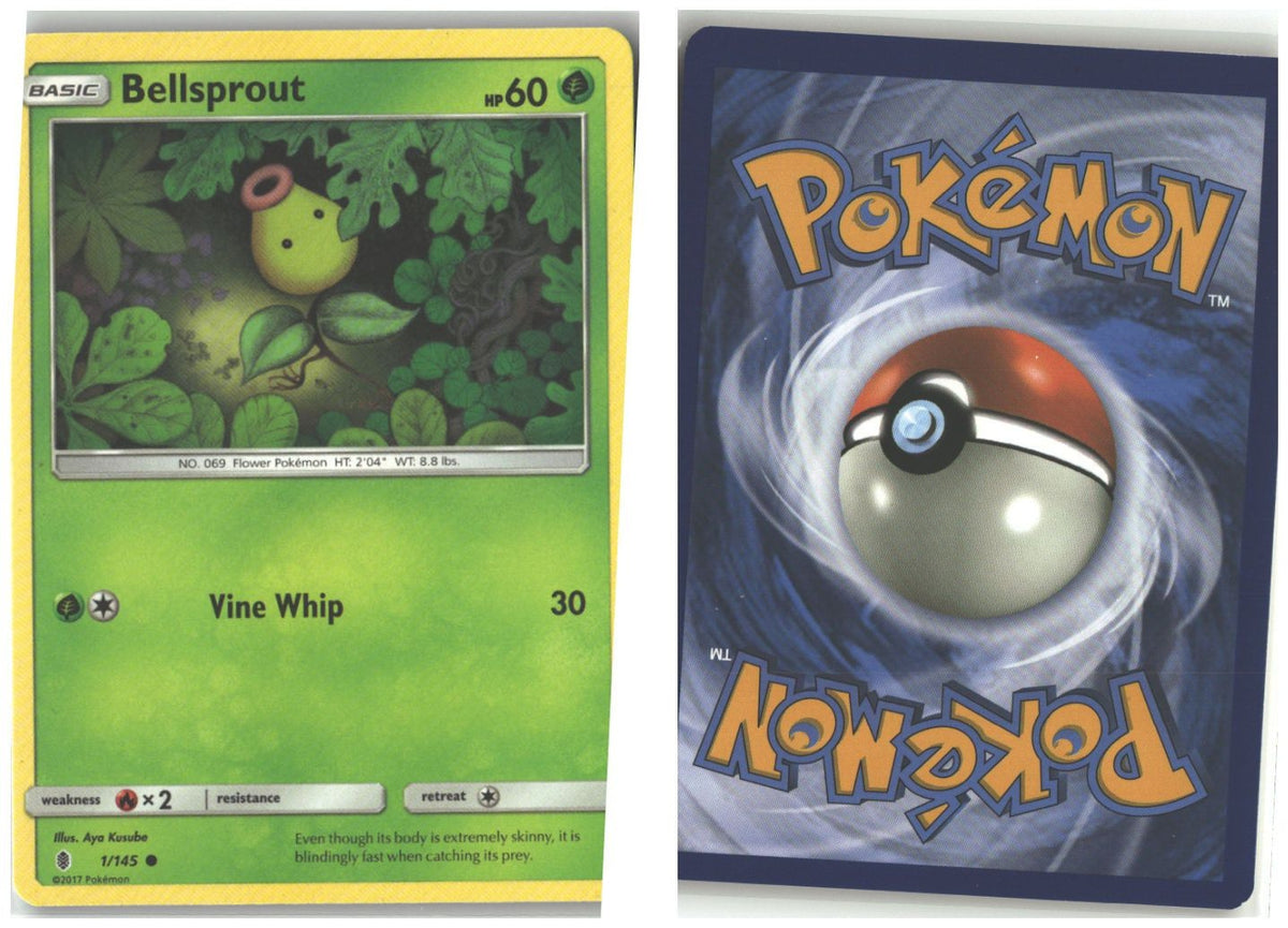Front + Back scan