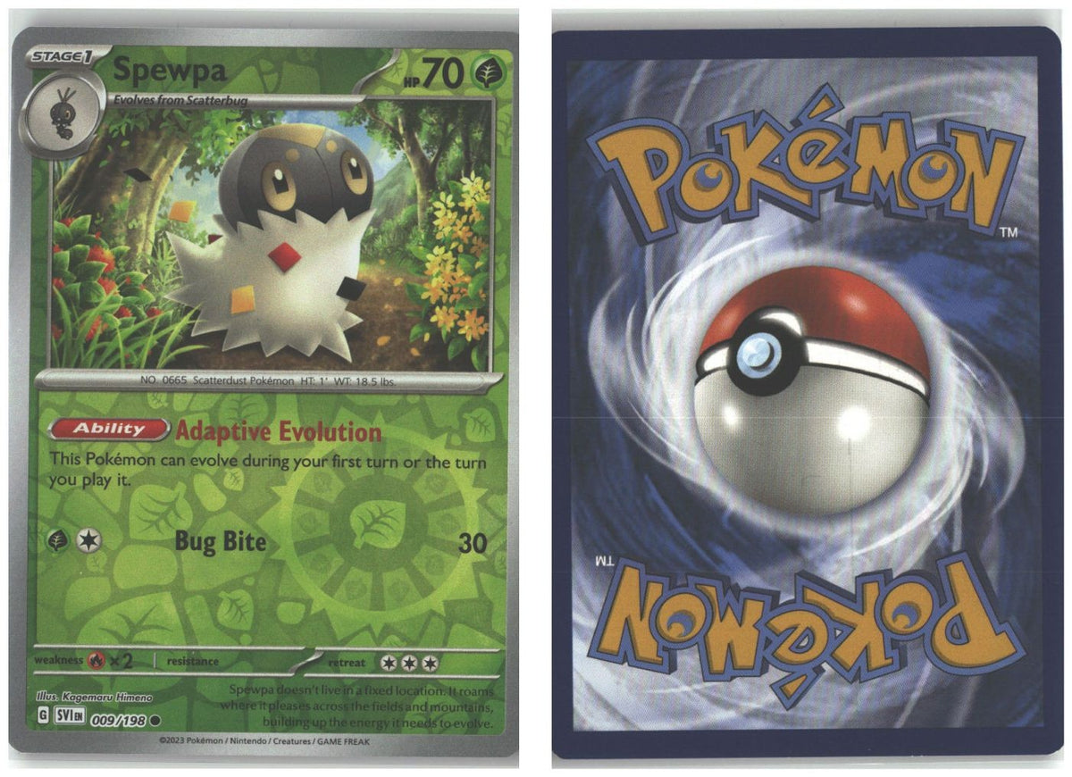 Front + Back scan