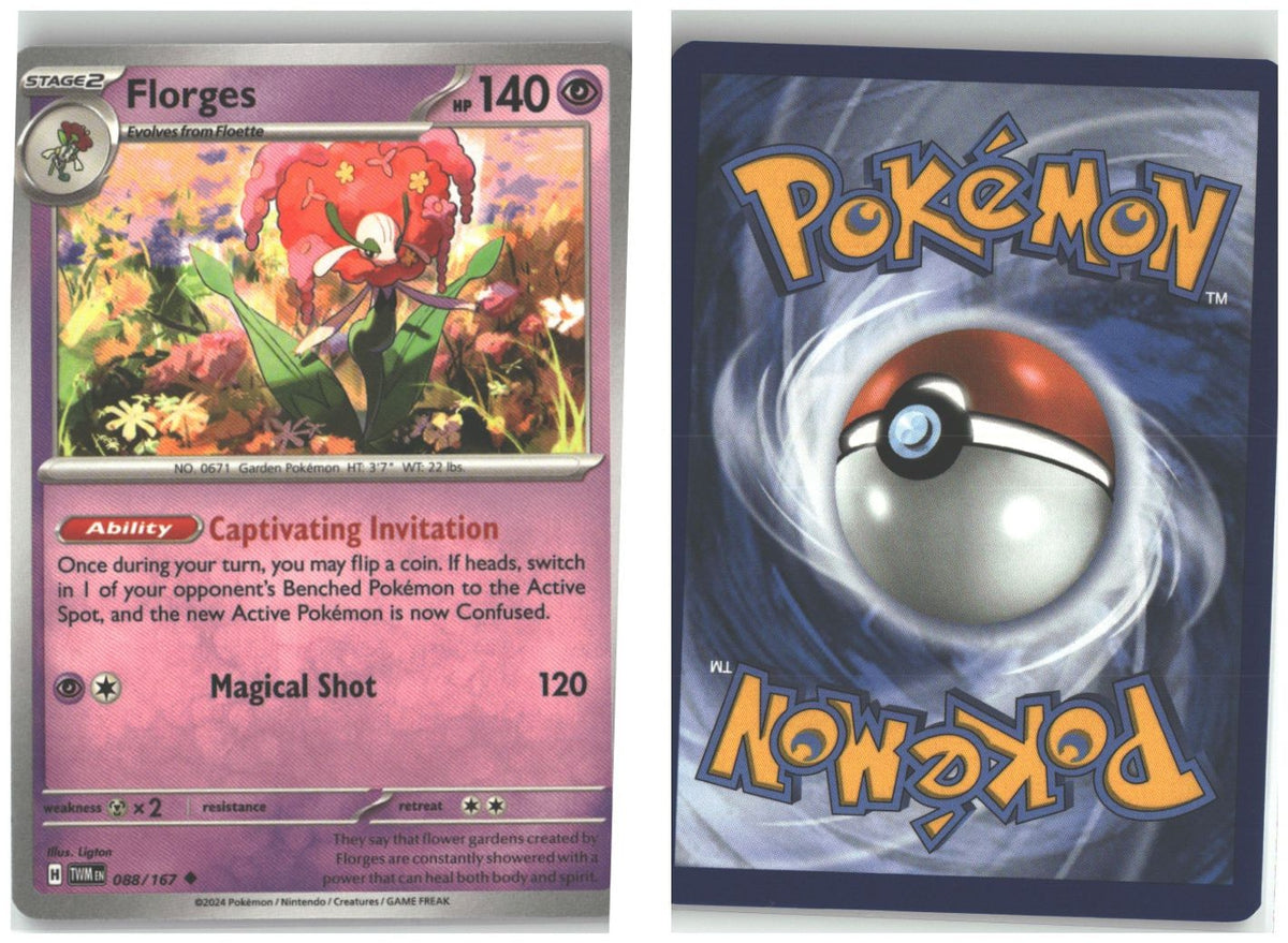 Front + Back scan
