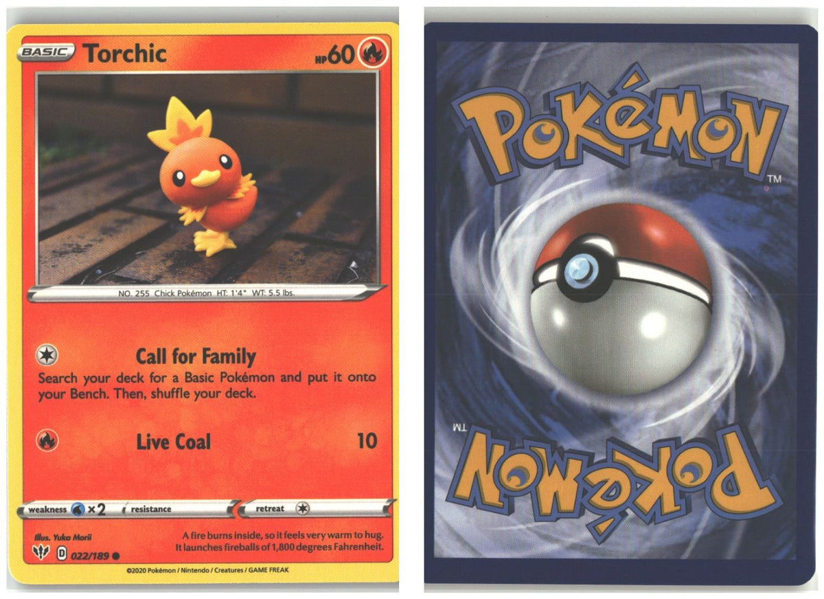 Front + Back scan