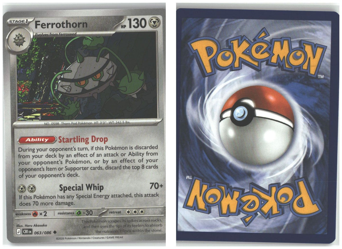 Front + Back scan