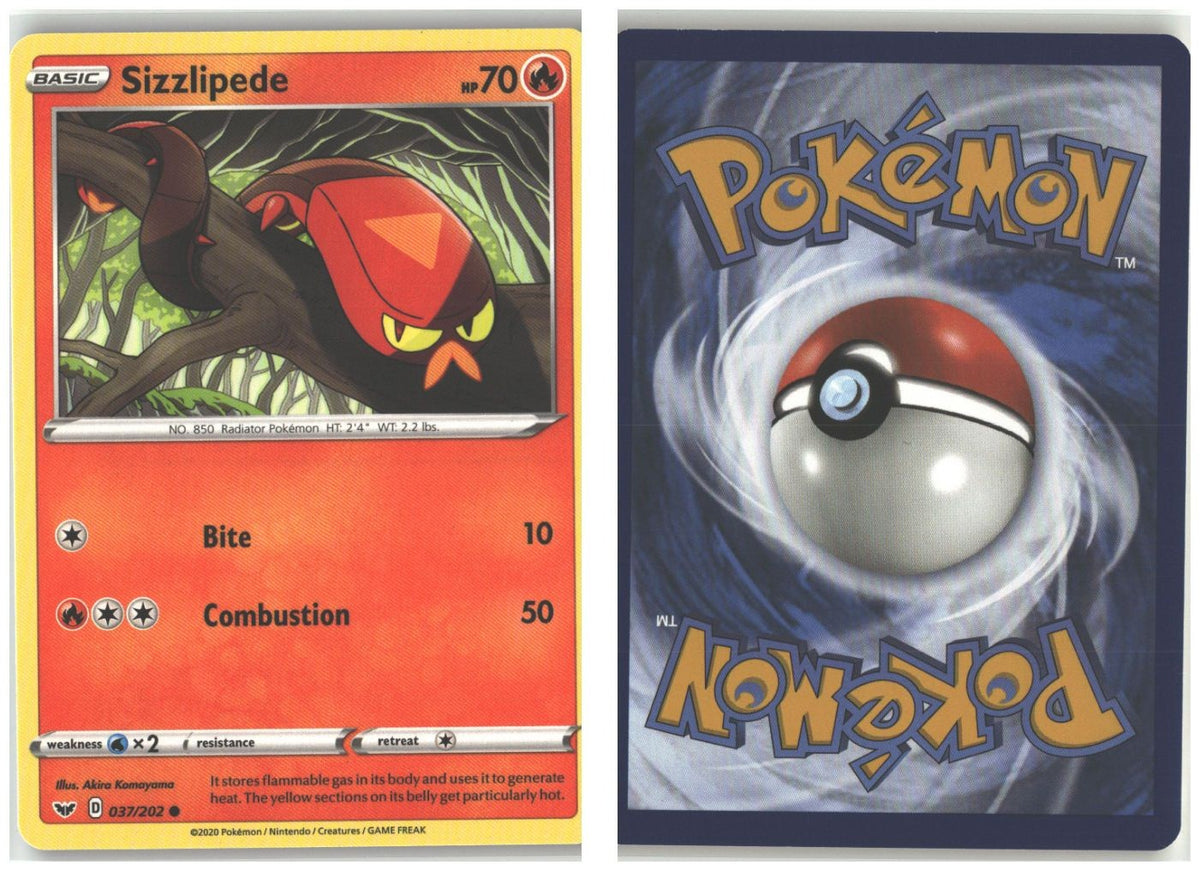 Front + Back scan