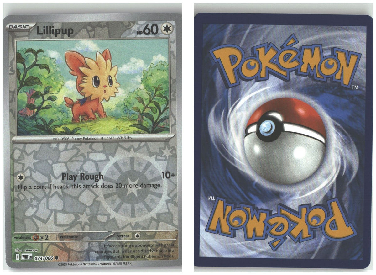 Front + Back scan