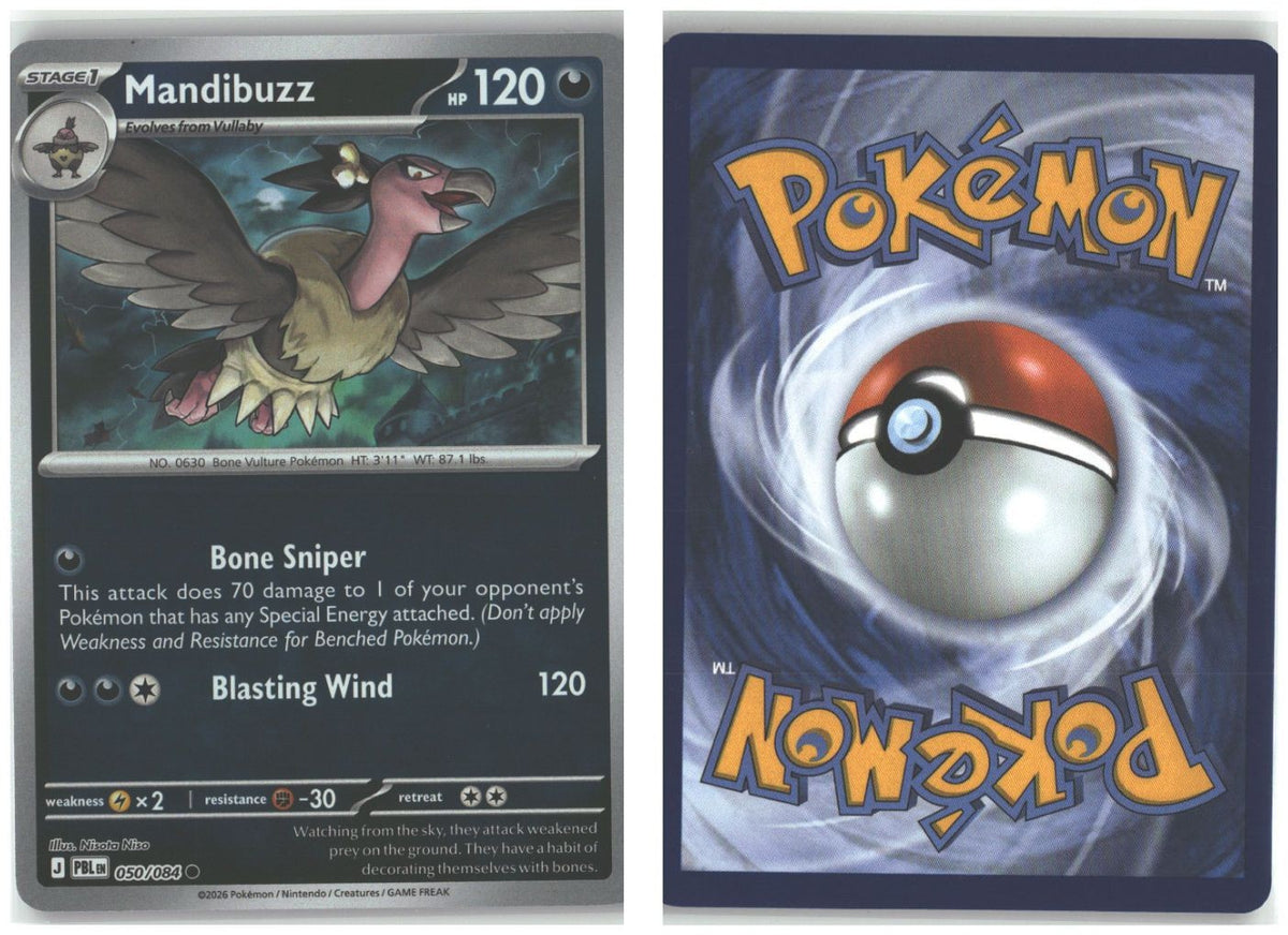 Front + Back scan