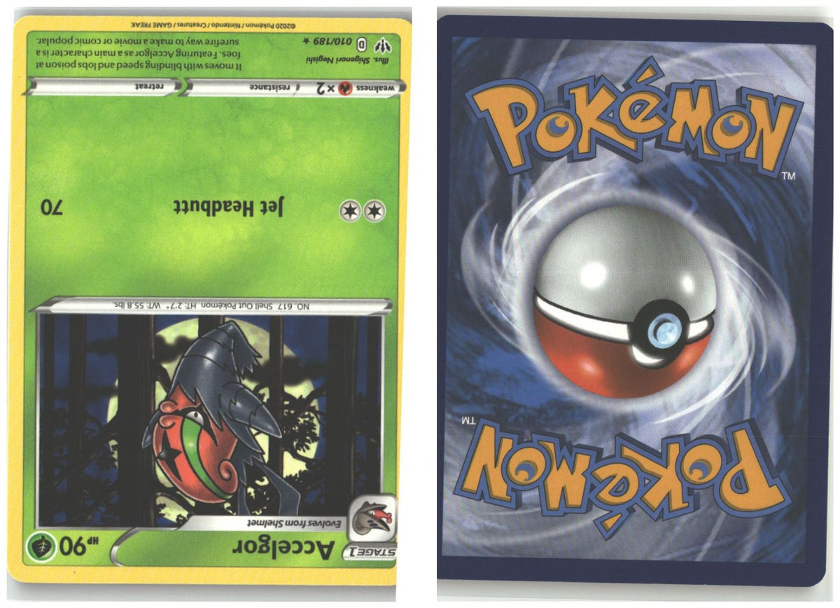 Front + Back scan