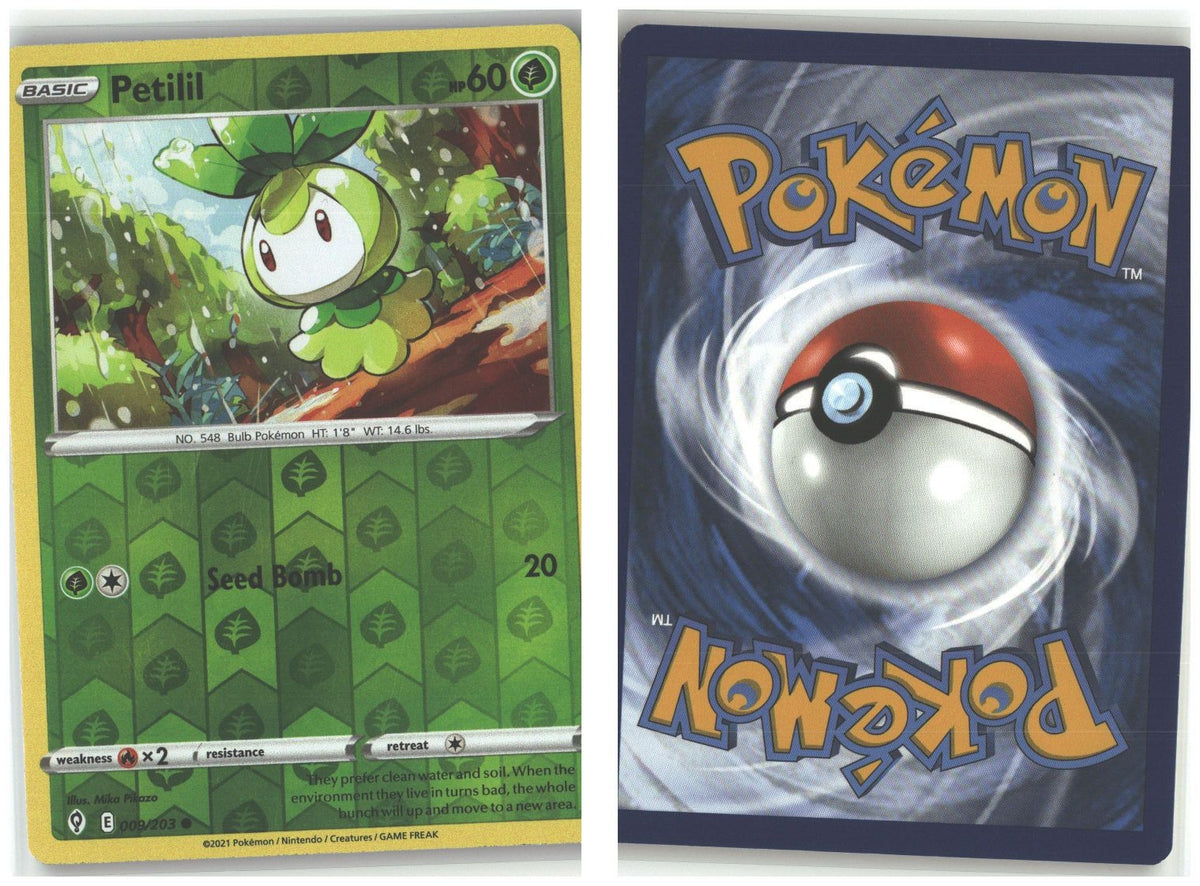 Front + Back scan