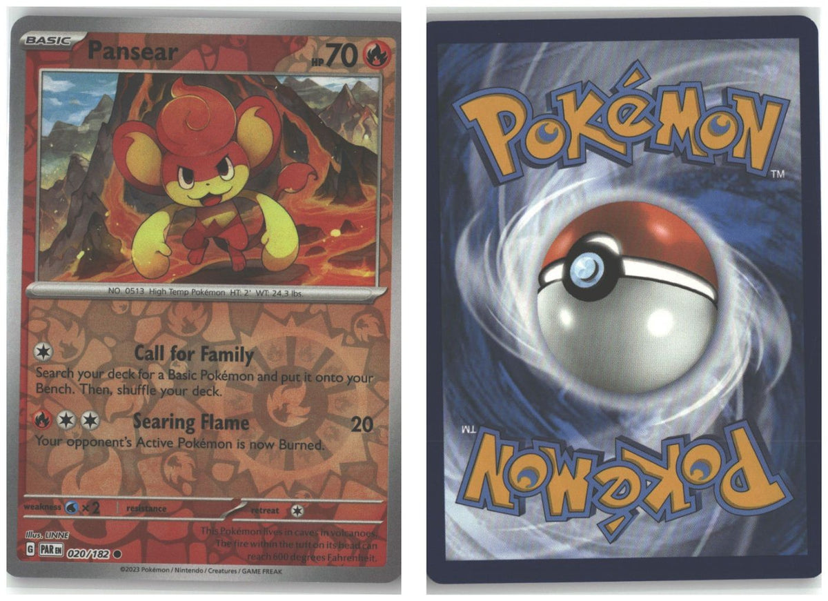 Front + Back scan