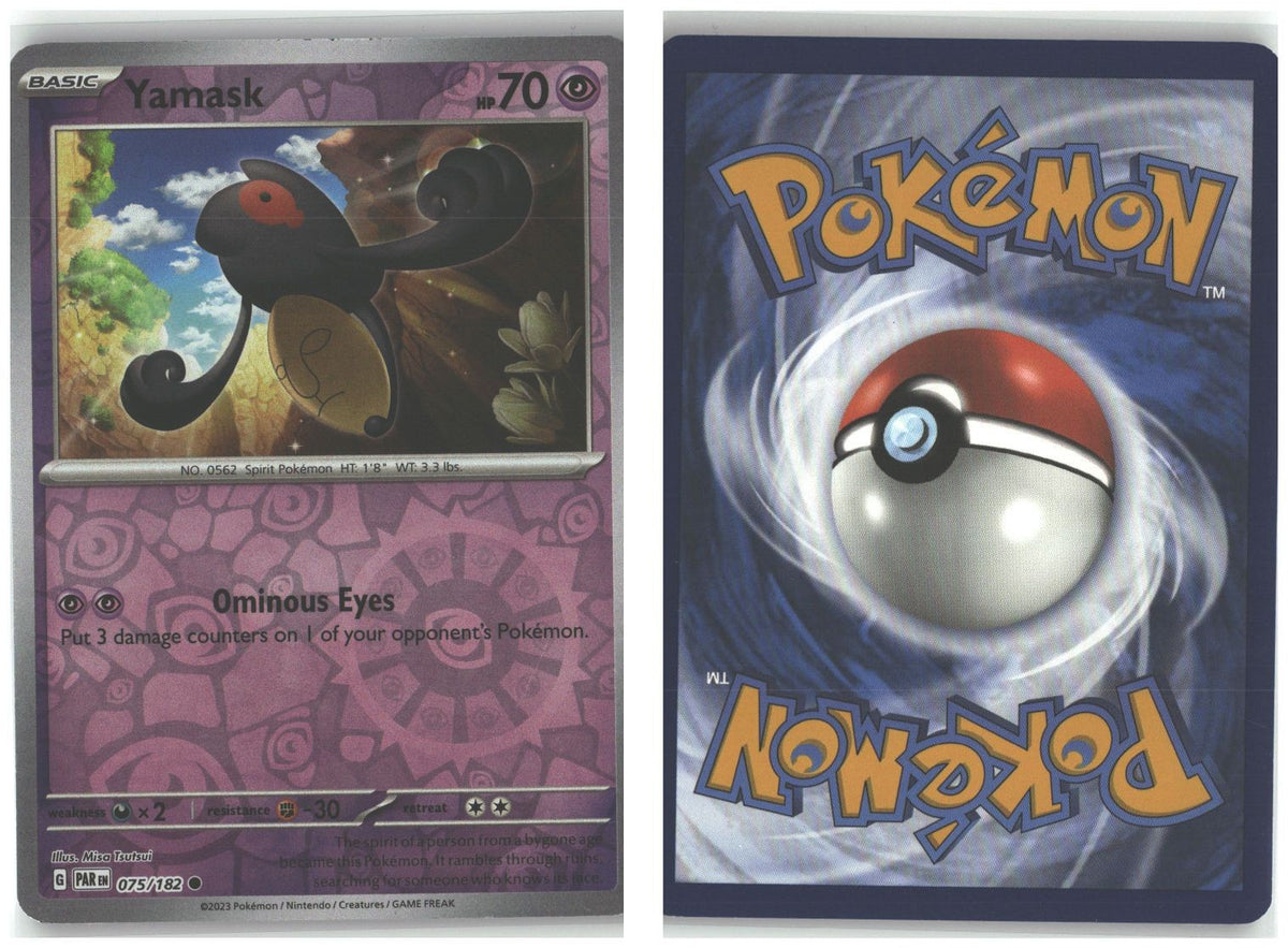 Front + Back scan