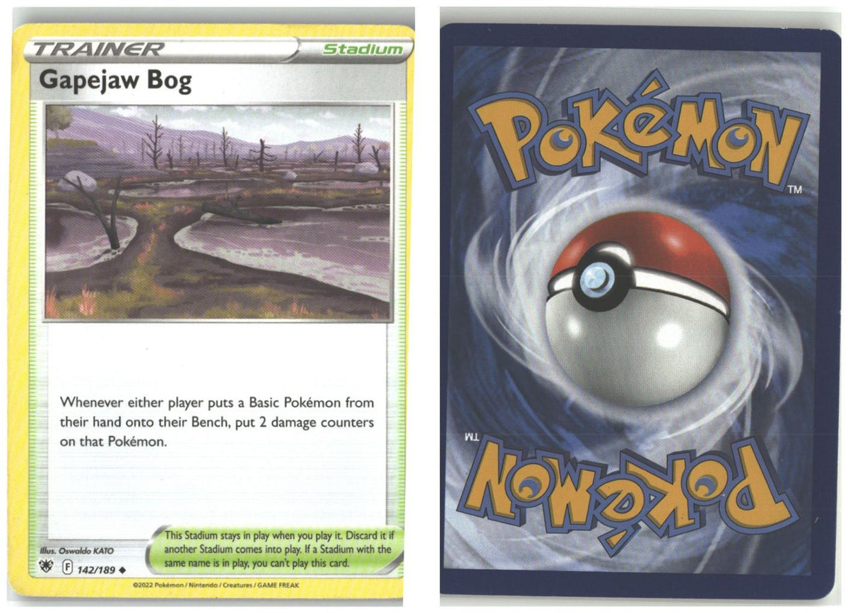 Front + Back scan