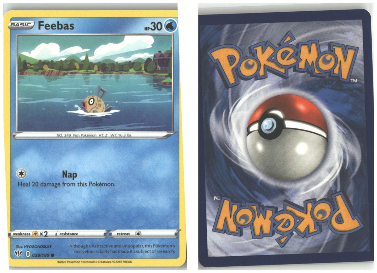 Front + Back scan