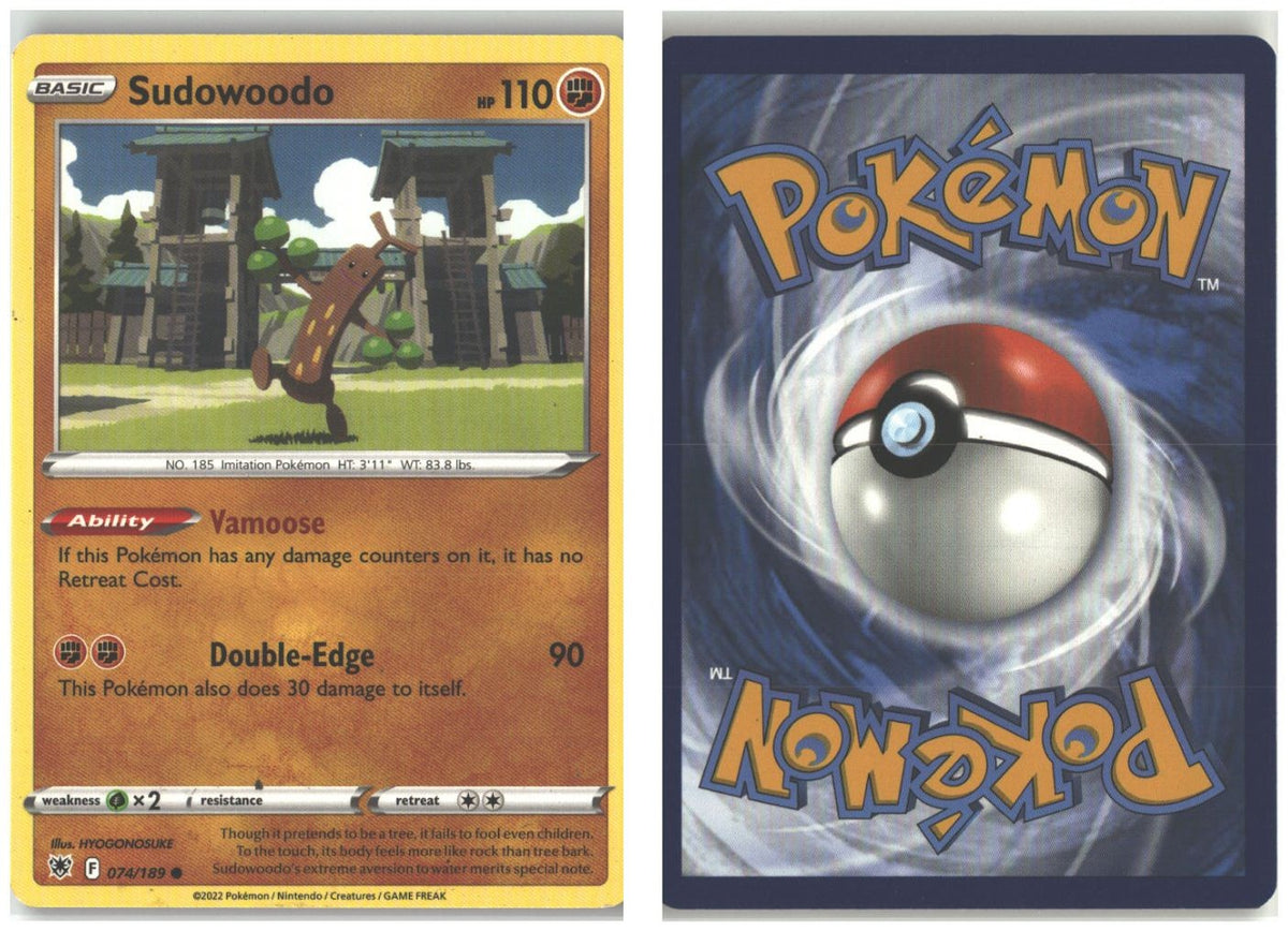 Front + Back scan