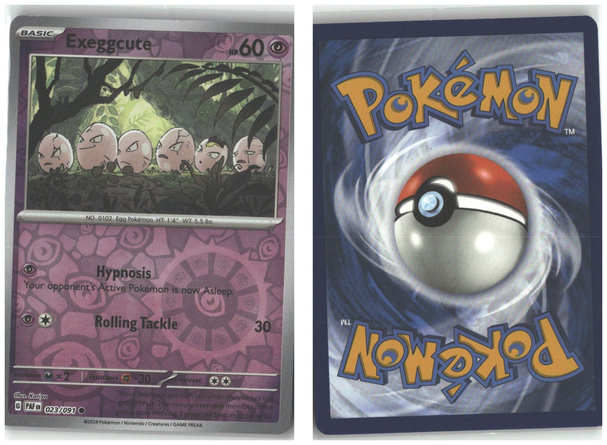 Front + Back scan