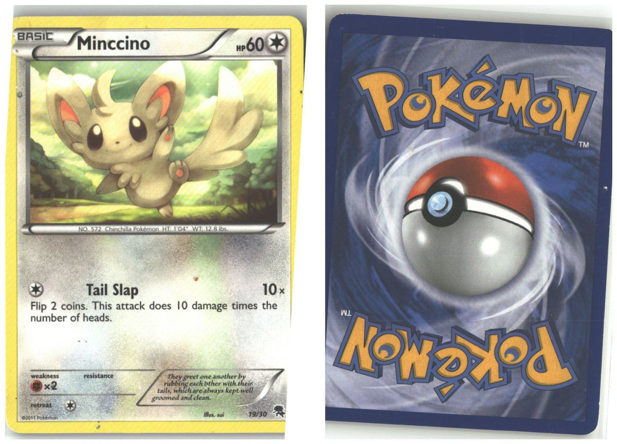 Front + Back scan