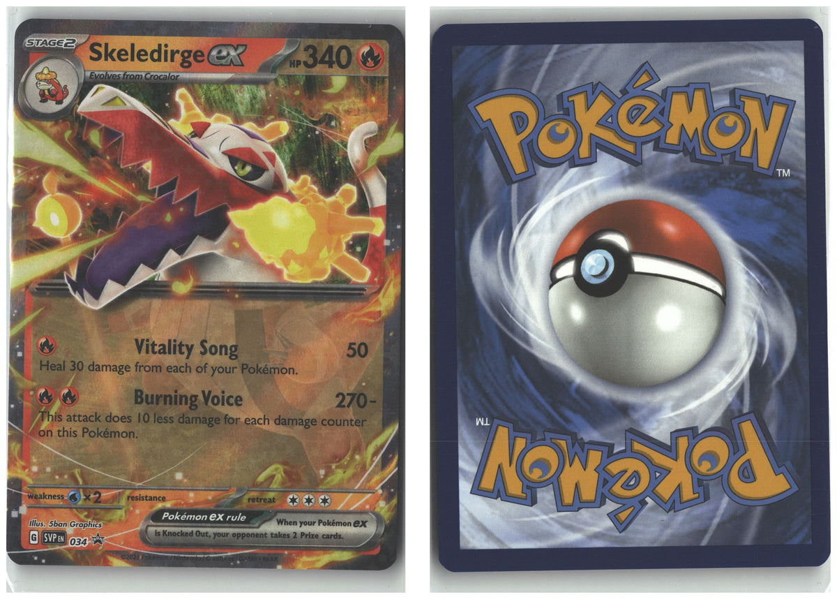 Front + Back scan