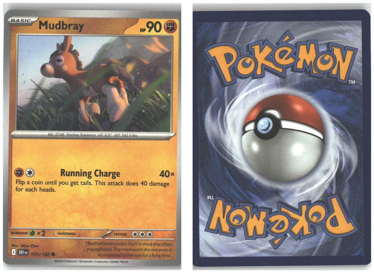 Front + Back scan