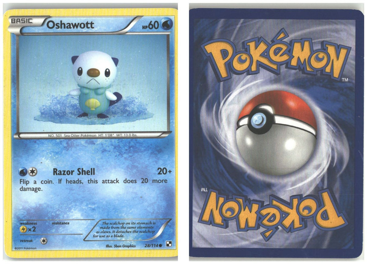 Front + Back scan