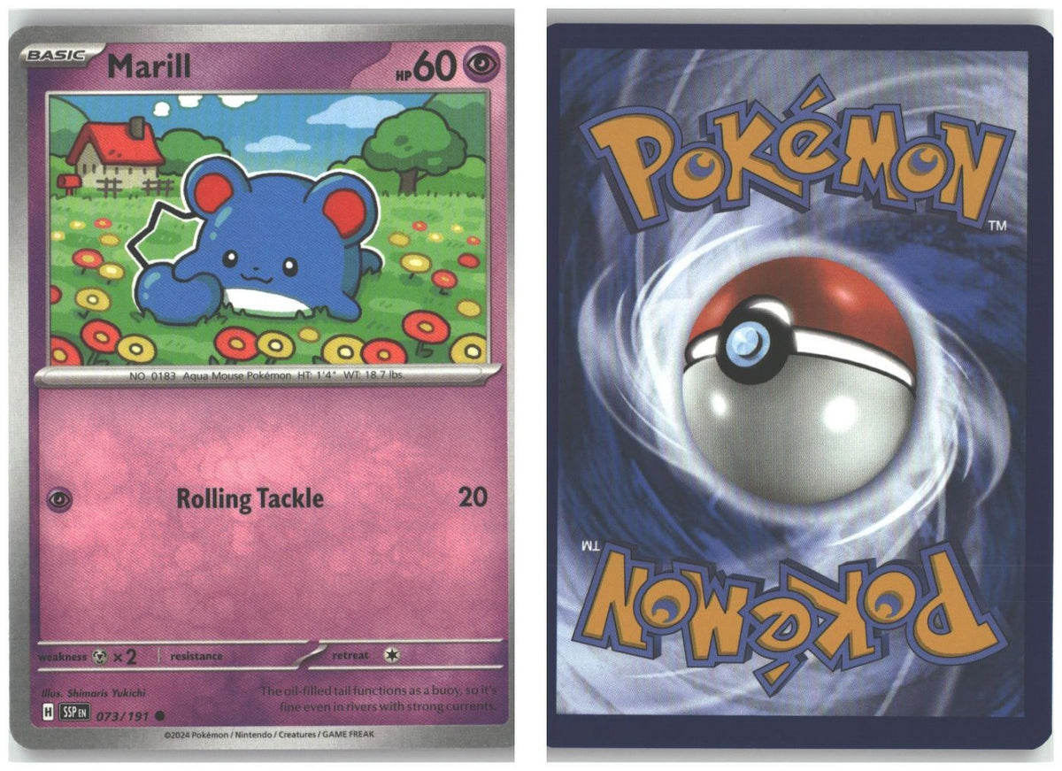 Front + Back scan