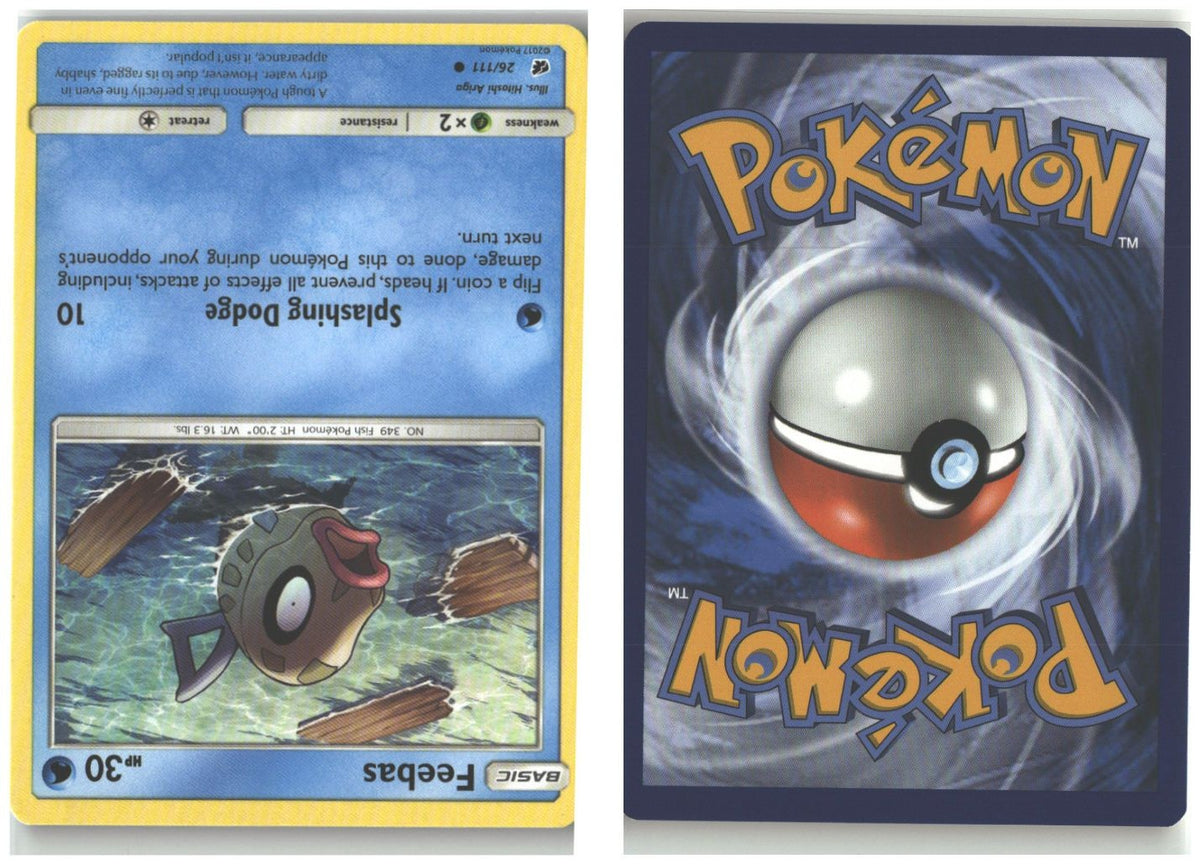 Front + Back scan