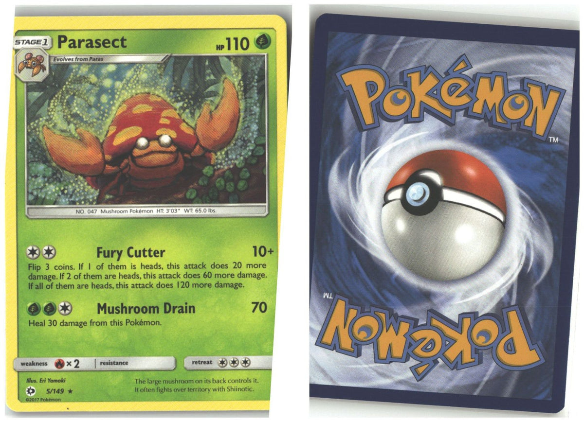Front + Back scan