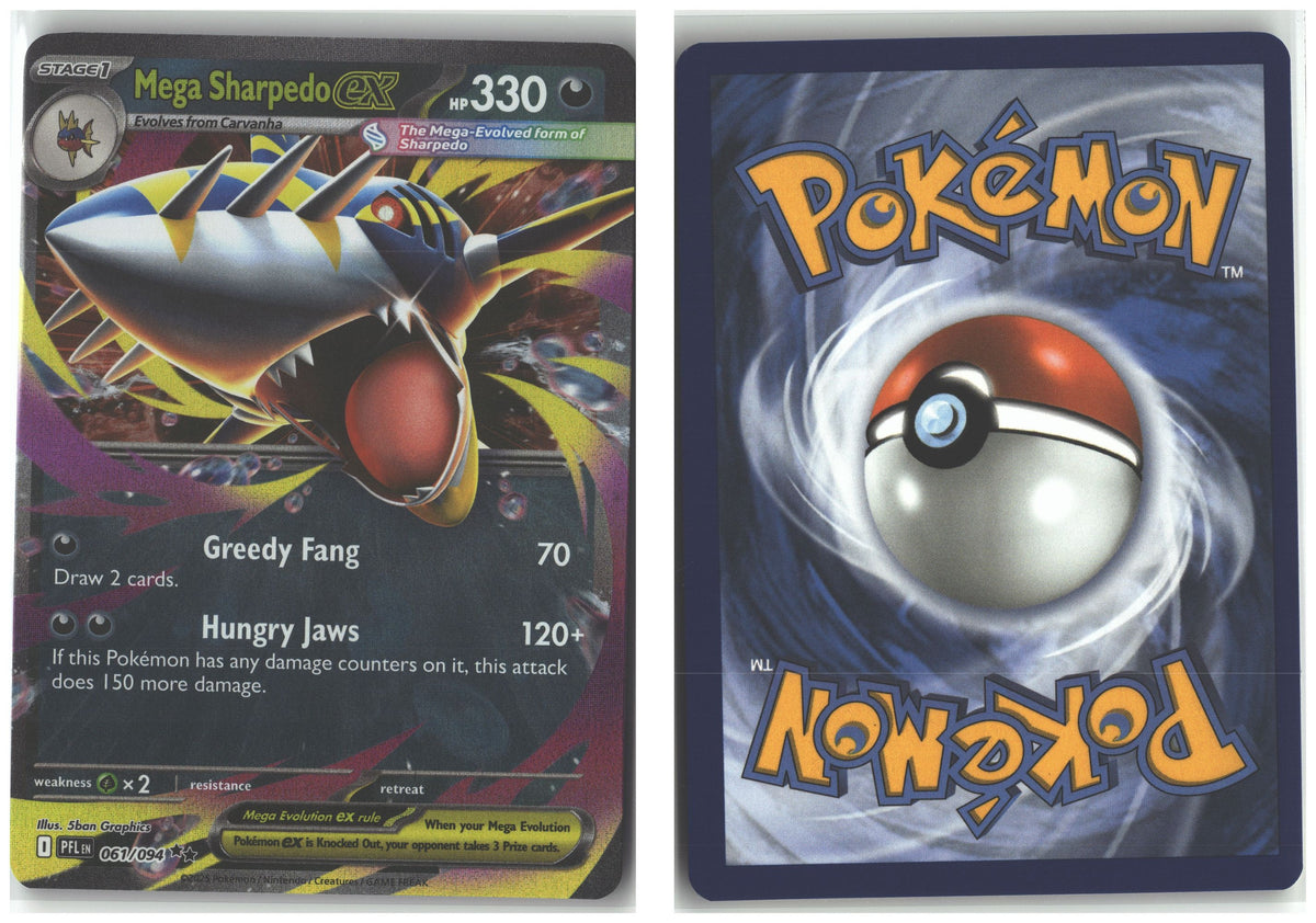 Front + Back scan
