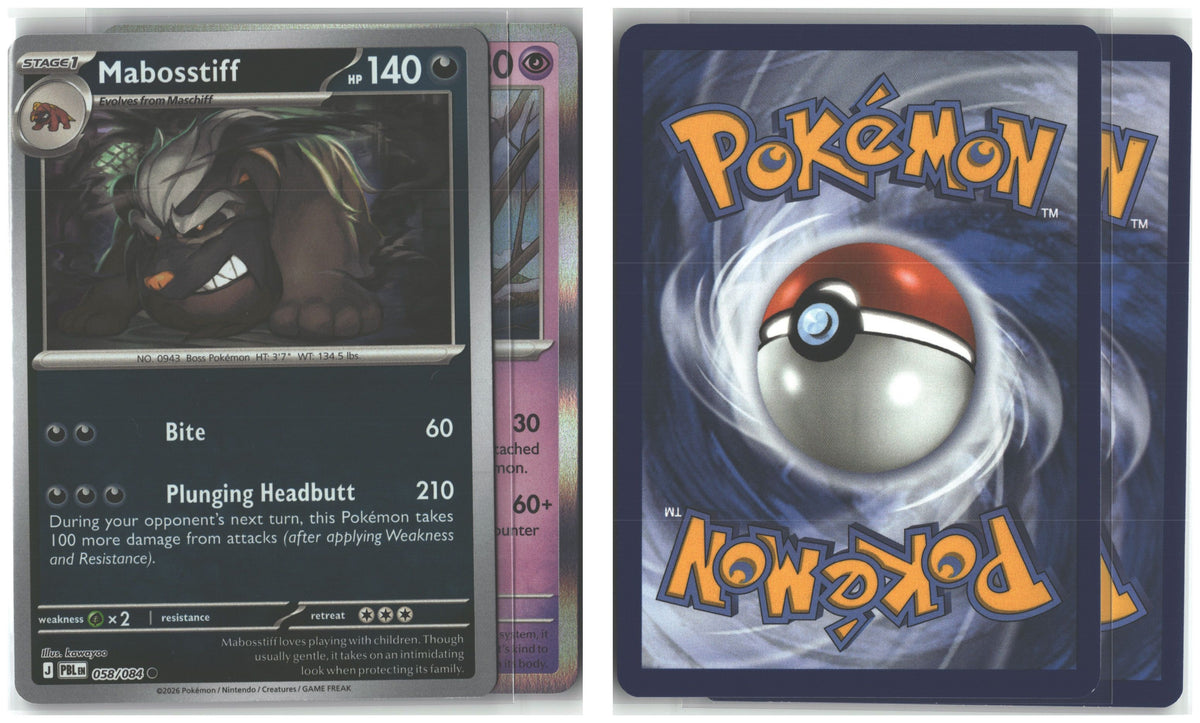 Front + Back scan