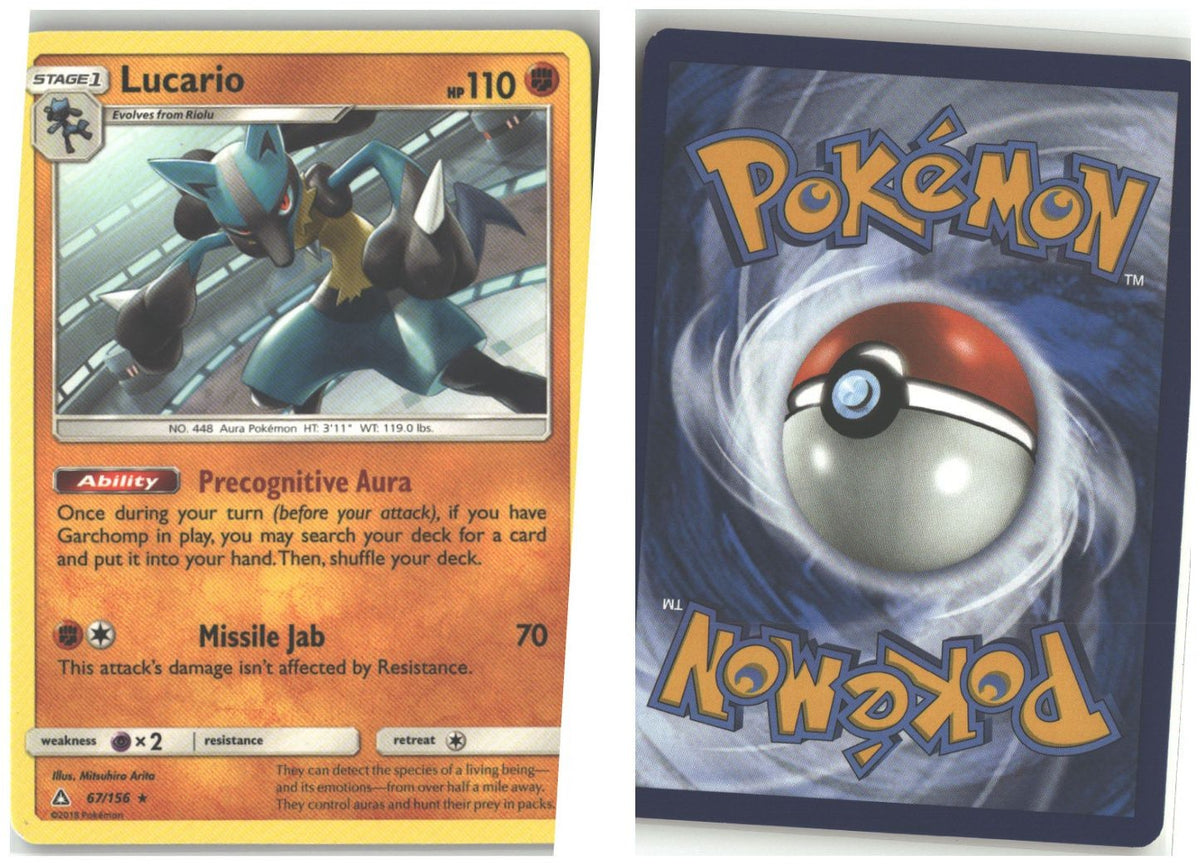 Front + Back scan
