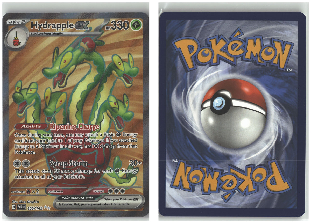 Front + Back scan