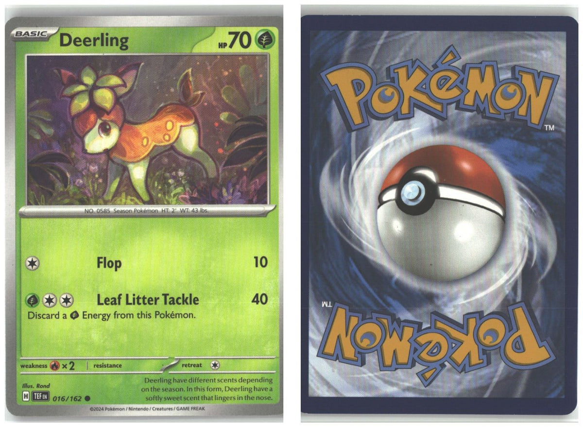 Front + Back scan