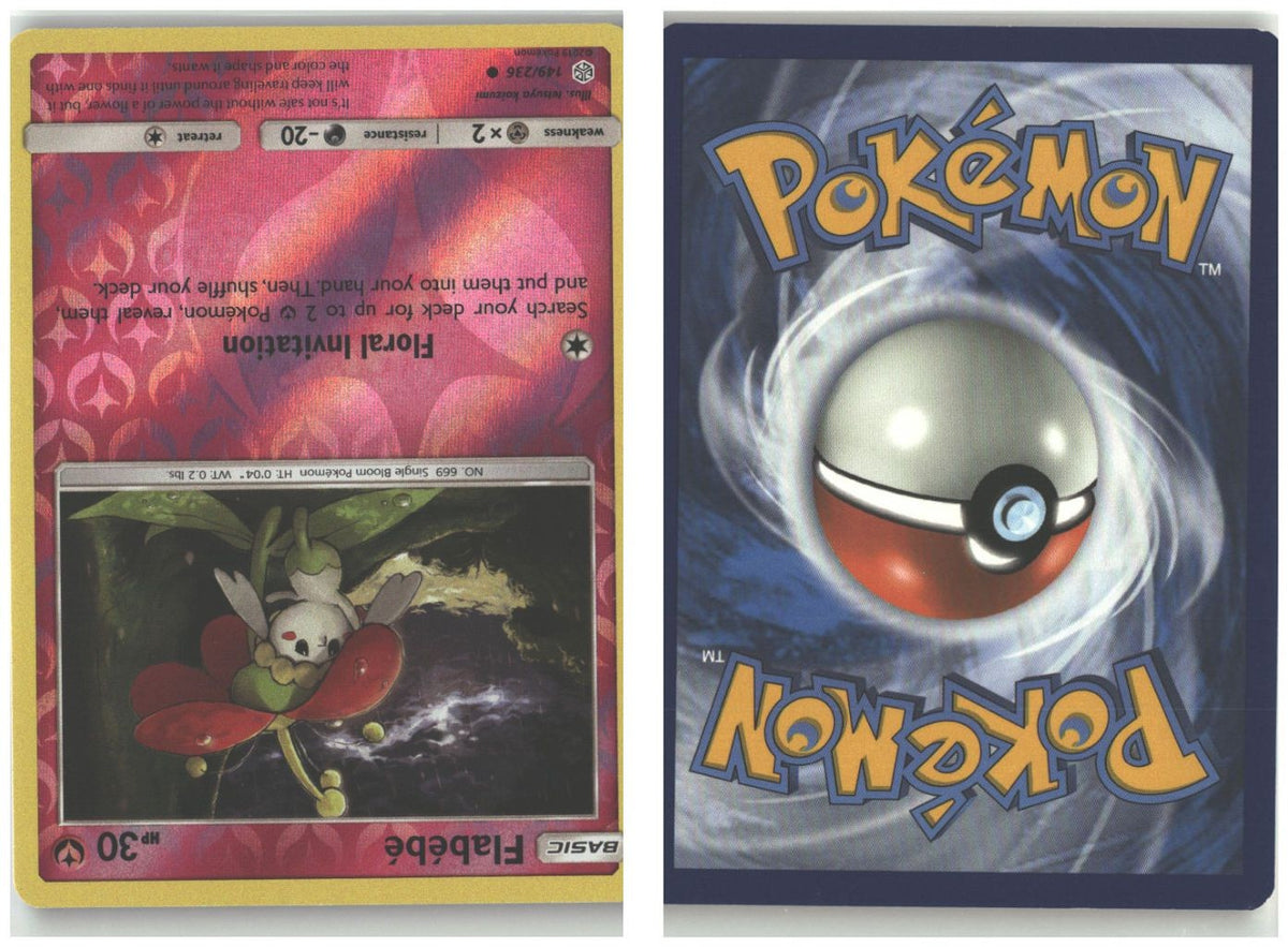 Front + Back scan