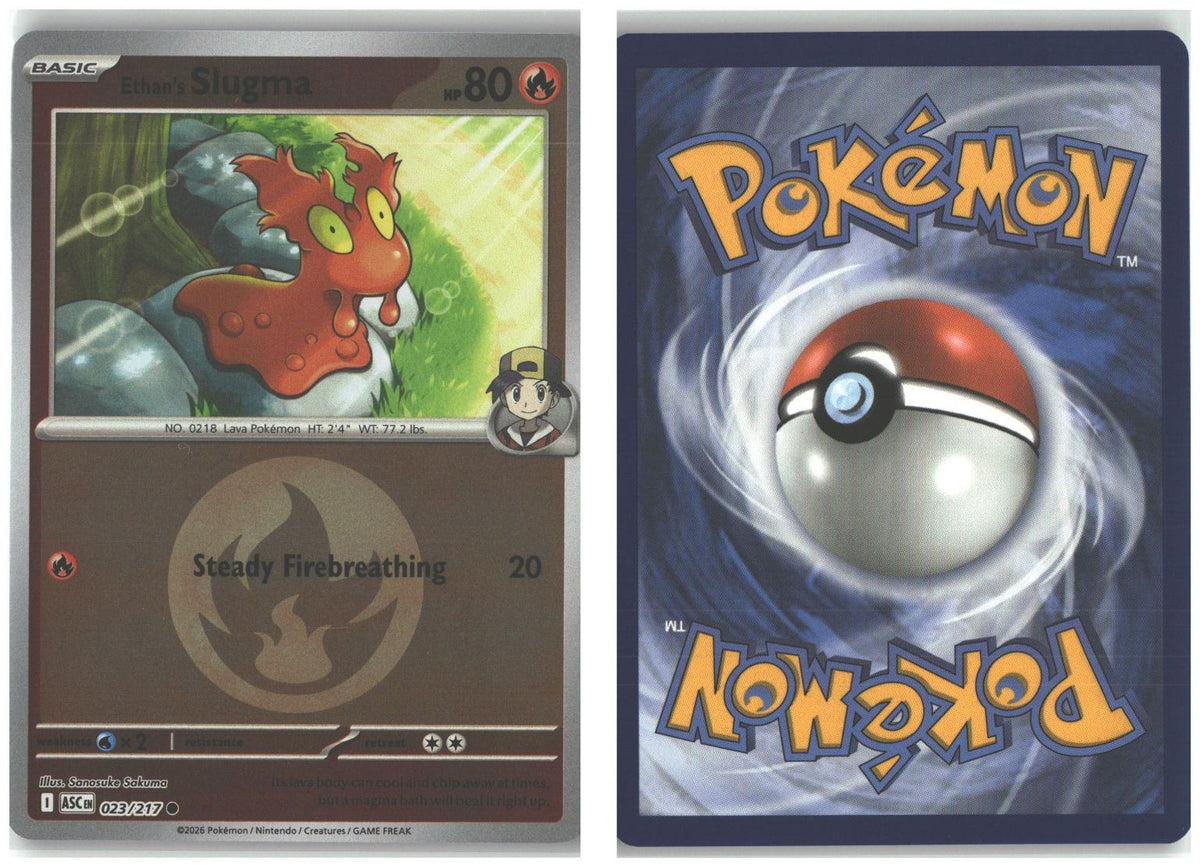 Front + Back scan