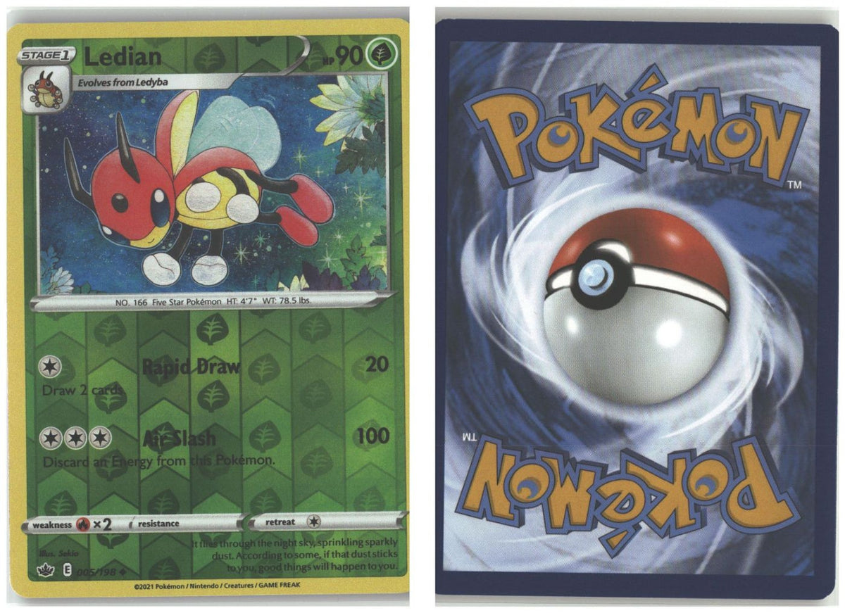 Front + Back scan