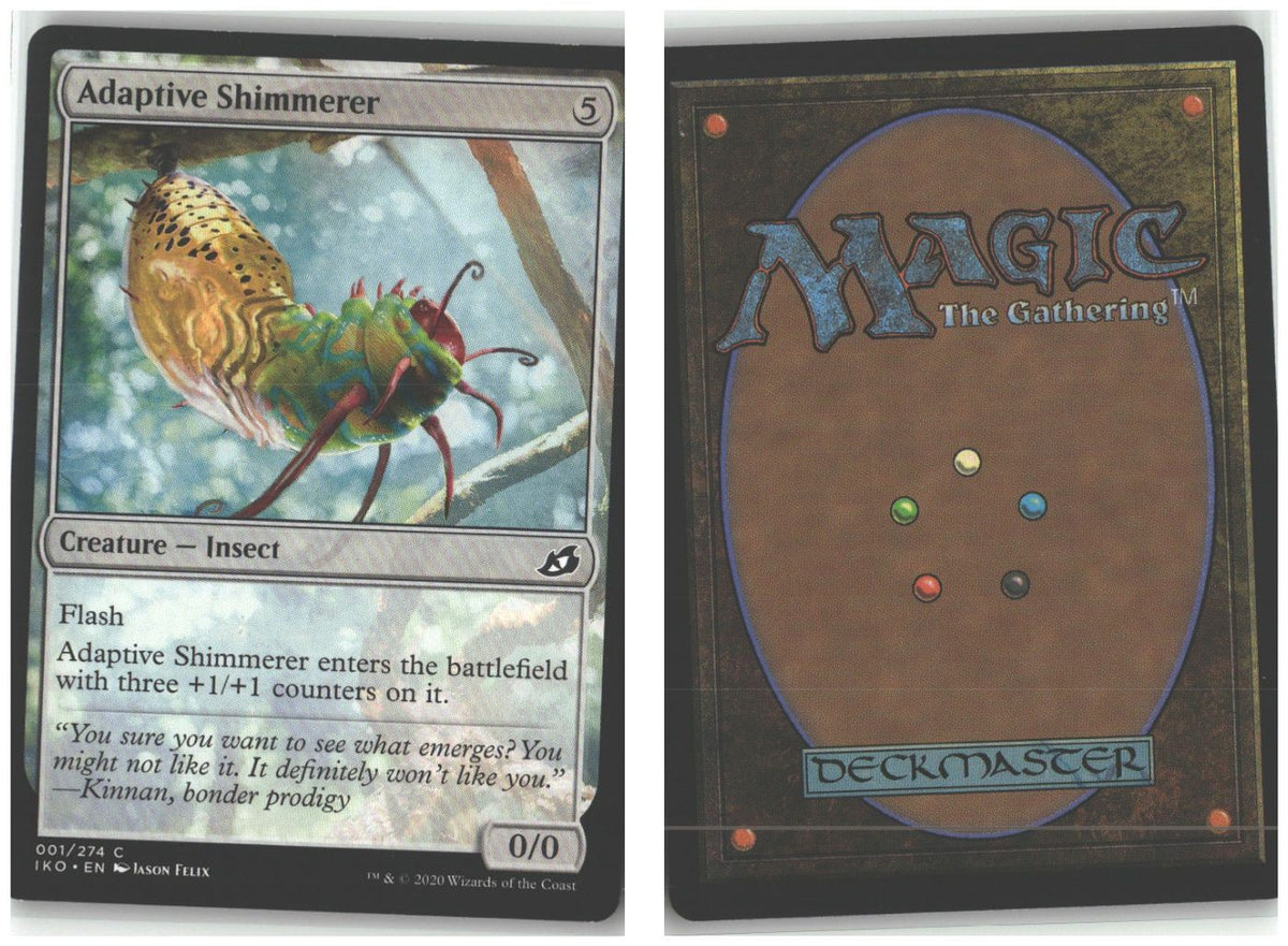 Front + Back scan