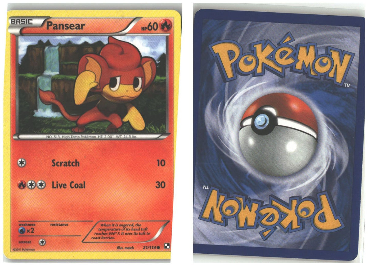 Front + Back scan