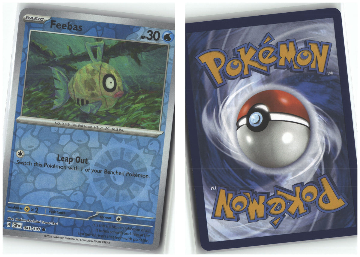 Front + Back scan
