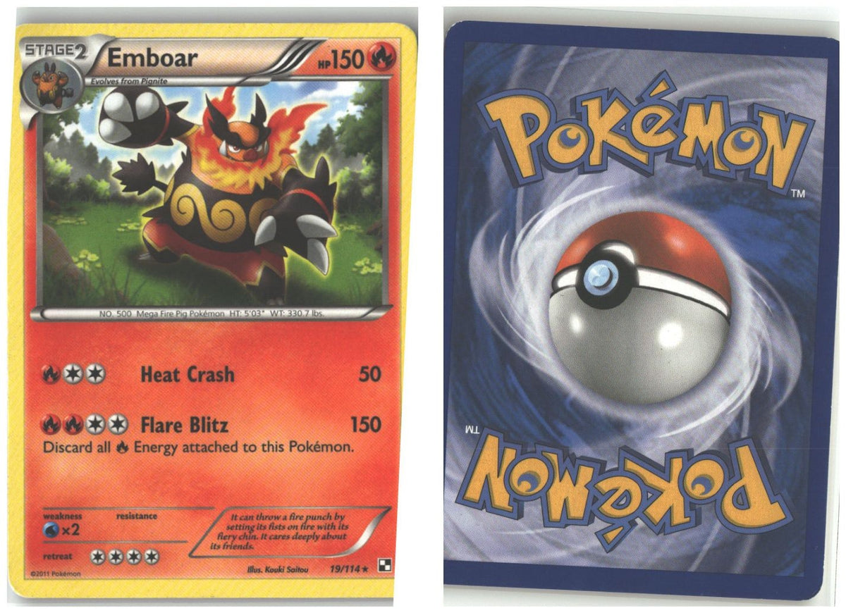 Front + Back scan