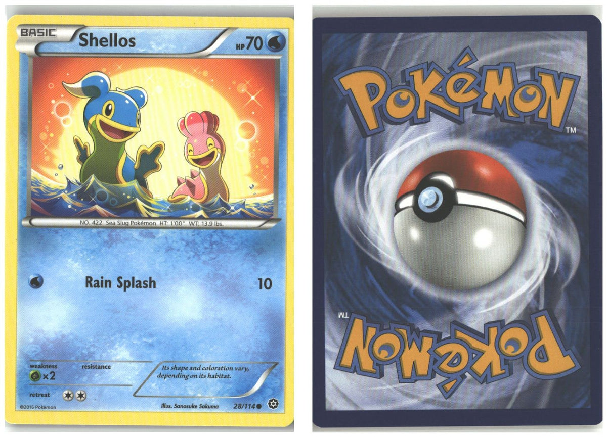 Front + Back scan