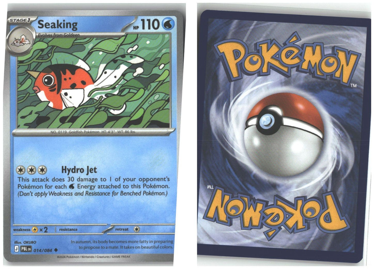 Front + Back scan