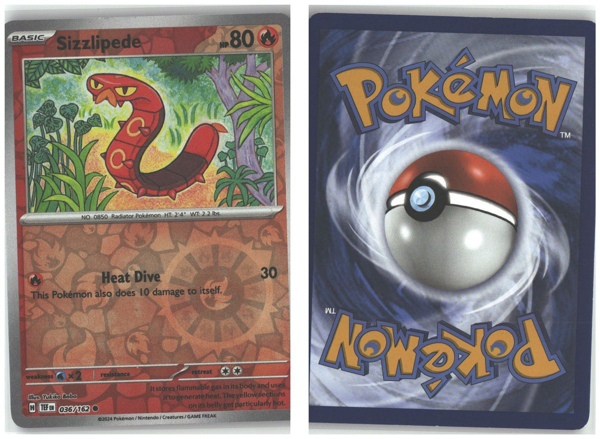 Front + Back scan
