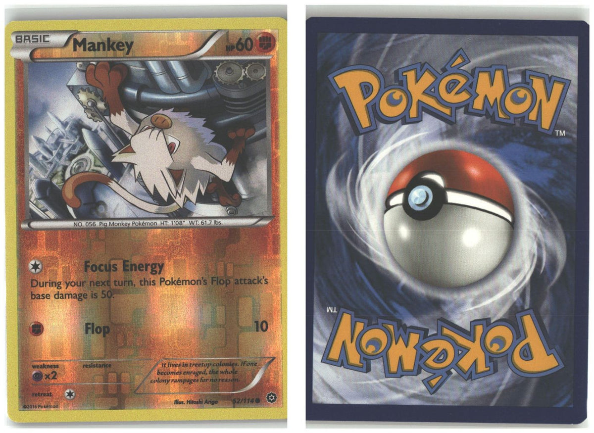 Front + Back scan