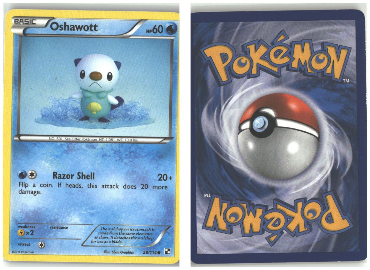Front + Back scan