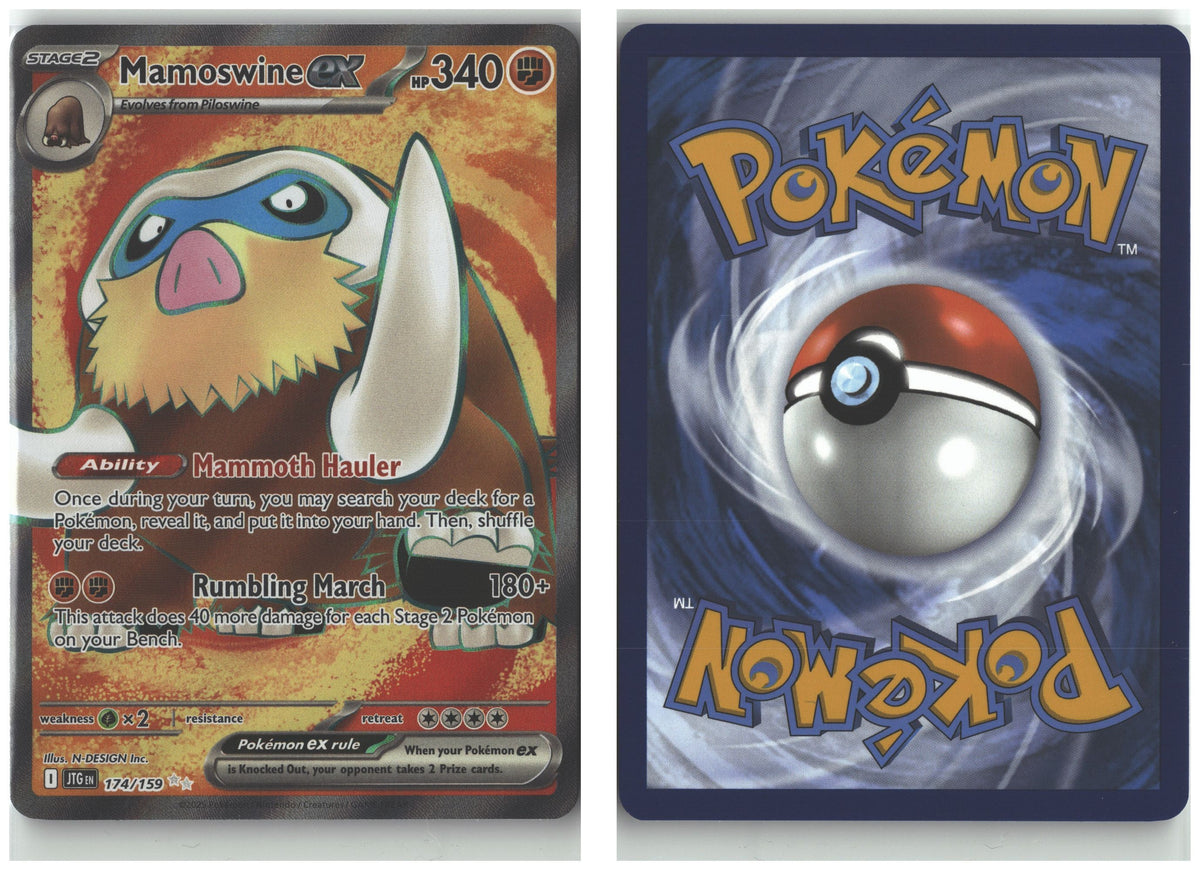 Front + Back scan