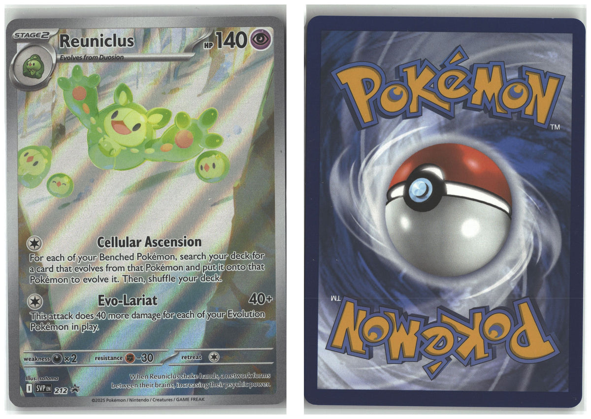 Front + Back scan
