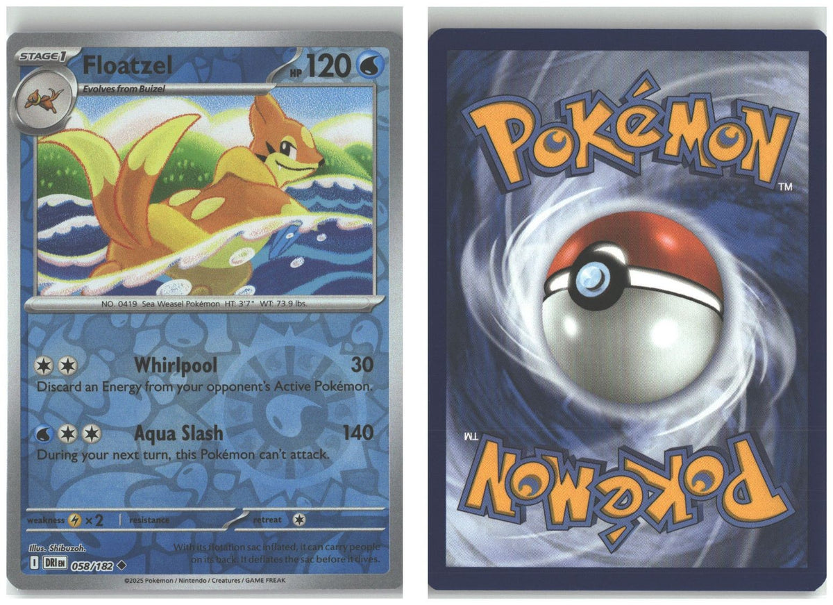Front + Back scan