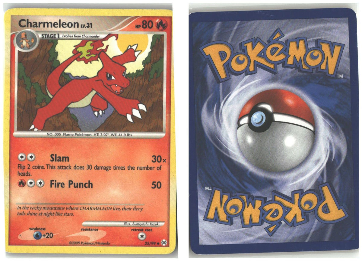 Front + Back scan