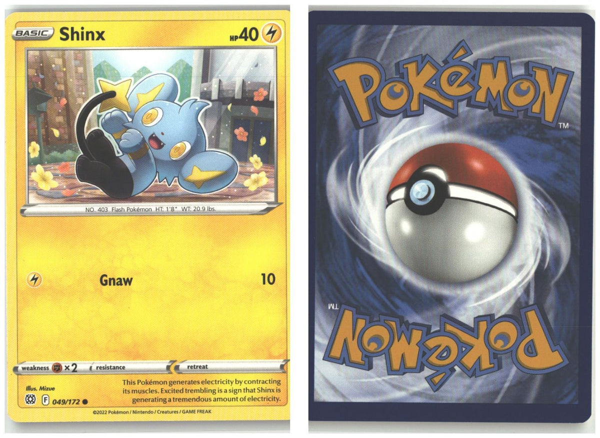 Front + Back scan